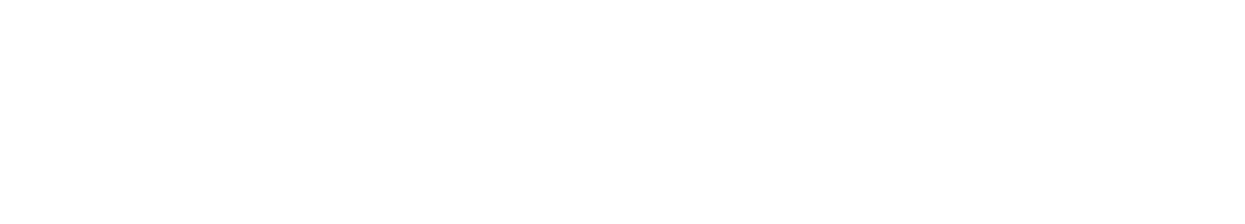 KOSMO SERVICES